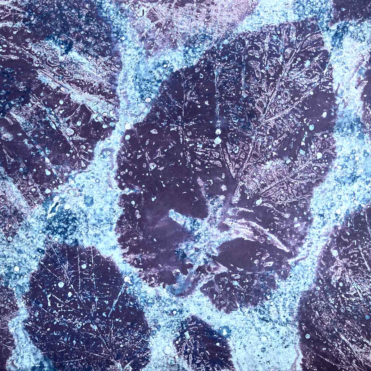 Pflanzendruck Rausch